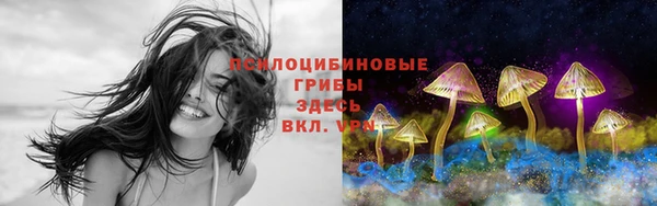 бошки Абдулино