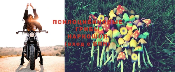 бошки Абдулино
