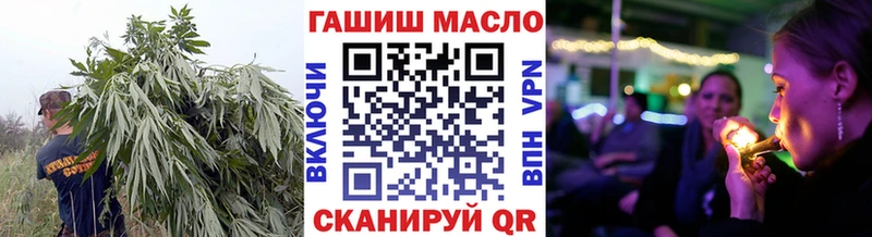 MEGA ТОР  Сысерть  ТГК концентрат 