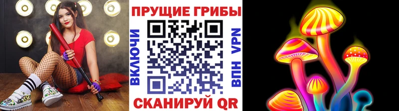 Псилоцибиновые грибы GOLDEN TEACHER  цены наркотик  даркнет как зайти  Сысерть 