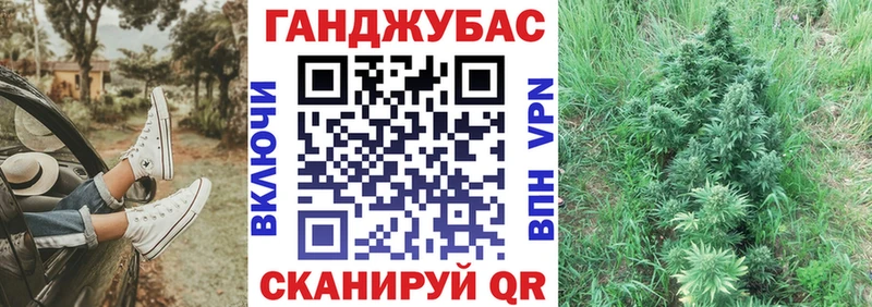 блэк спрут как зайти  Сысерть  Каннабис планчик 